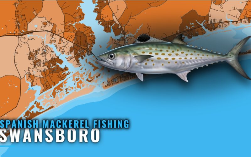 Spanish Mackerel Fishing Out of Swansboro: Where and How