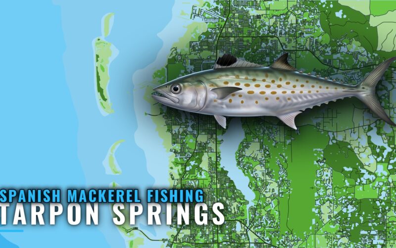 Spanish Mackerel Fishing out of Tarpon Springs: Reefs