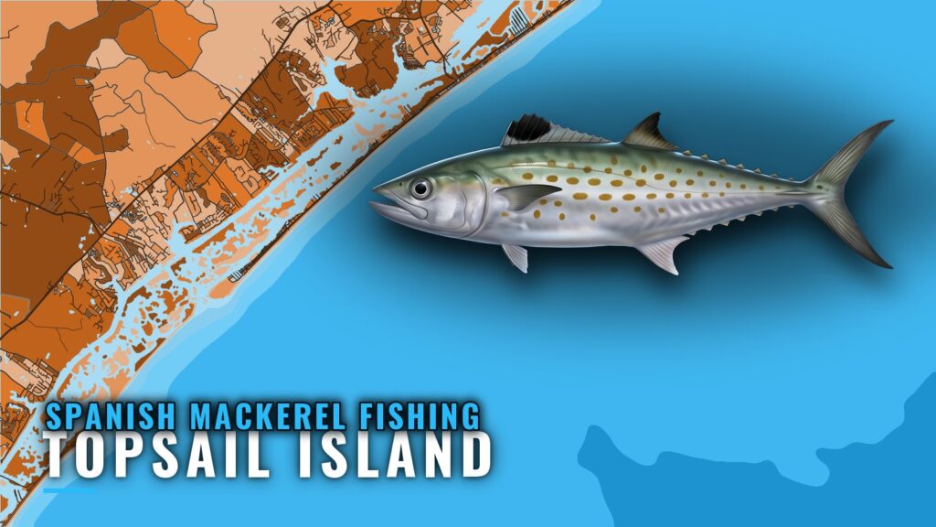 Spanish Mackerel Fishing Out of Topsail Island, NC