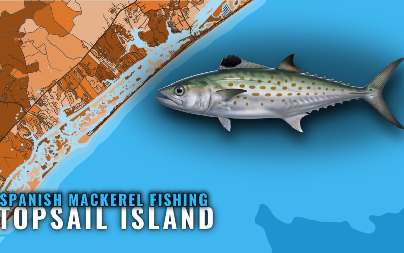 Spanish Mackerel Fishing Out of Topsail Island, NC