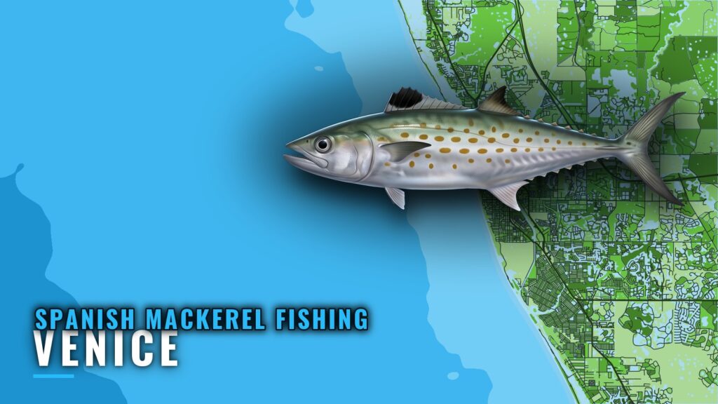 Spanish mackerel fishing out of Venice: reefs and runs