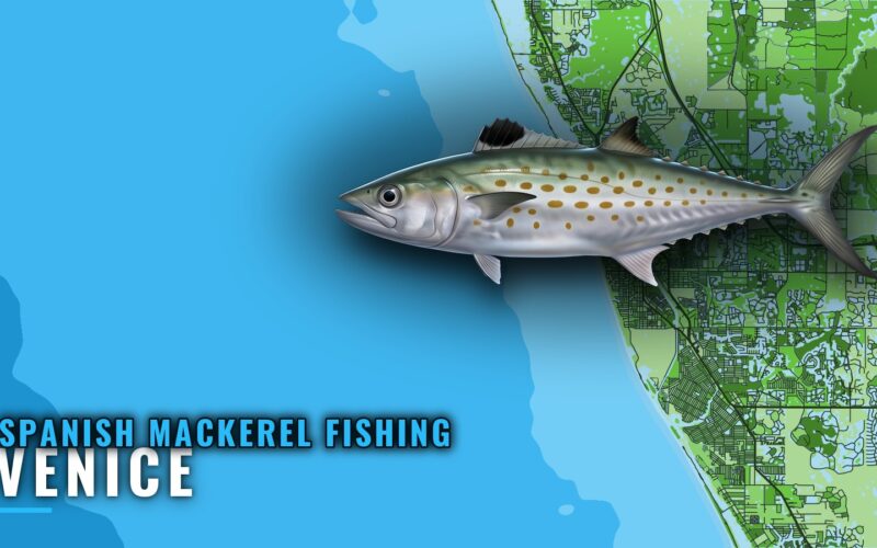 Spanish mackerel fishing out of Venice: reefs and runs