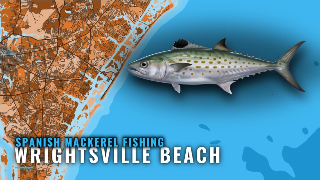 Spanish Mackerel Fishing out of Wrightsville Beach, NC