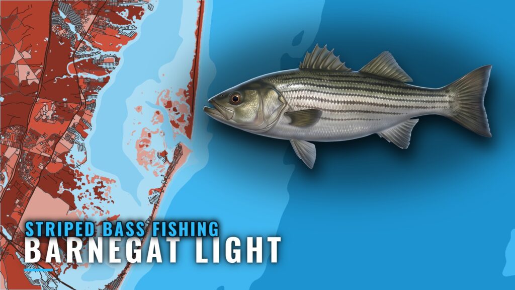 Striped Bass Fishing Out of Barnegat Light: Reefs and Runs