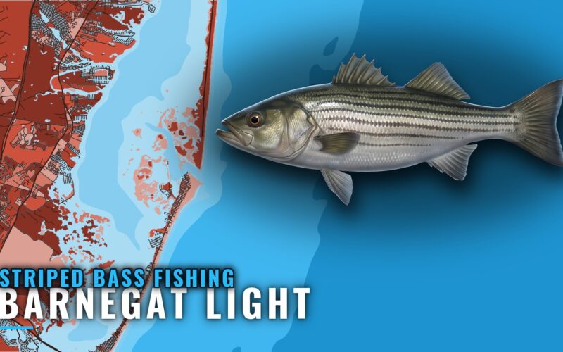 Striped Bass Fishing Out of Barnegat Light: Reefs and Runs