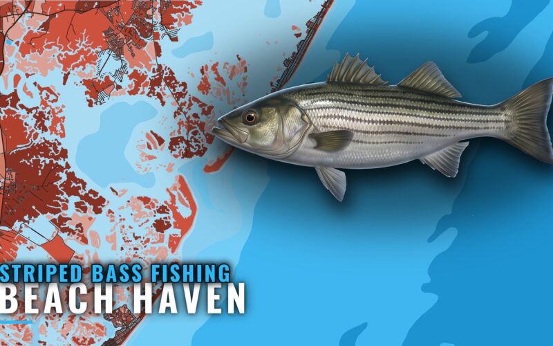 Striped Bass Fishing out of Beach Haven: Reefs and Runs