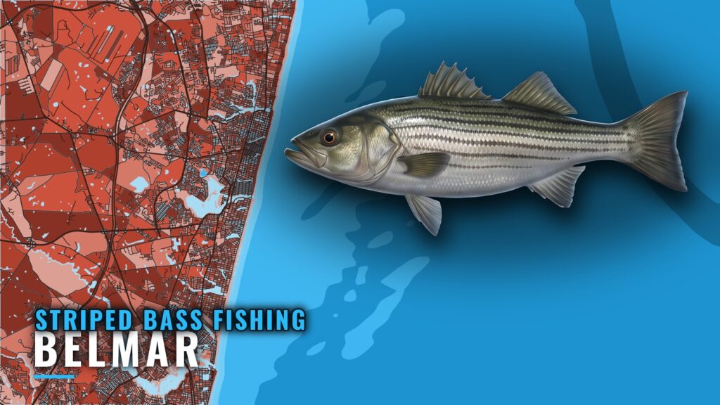 Striped Bass Fishing Out of Belmar: Runs, Reefs, Wrecks