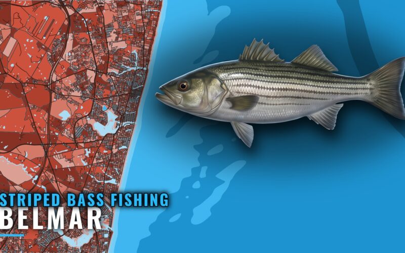 Striped Bass Fishing Out of Belmar: Runs, Reefs, Wrecks