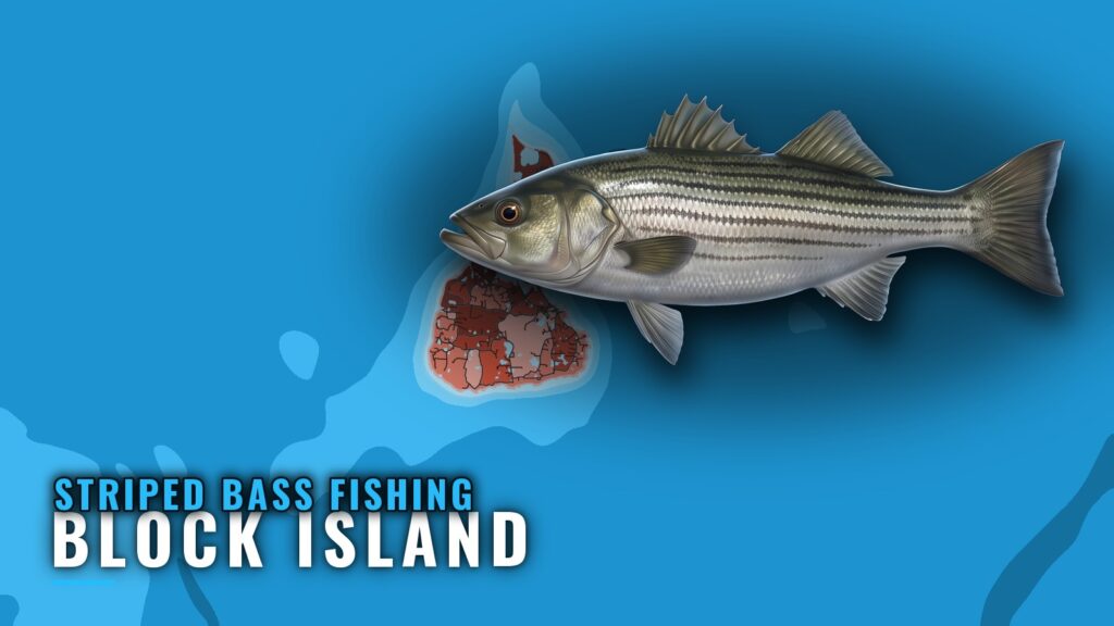 Striped Bass Fishing Out of Block Island: Grounds and Timing