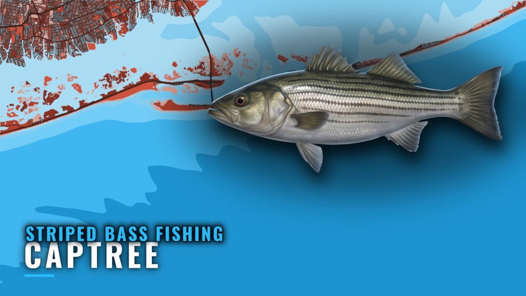 Striped bass fishing out of Captree: reefs, spots, fleets