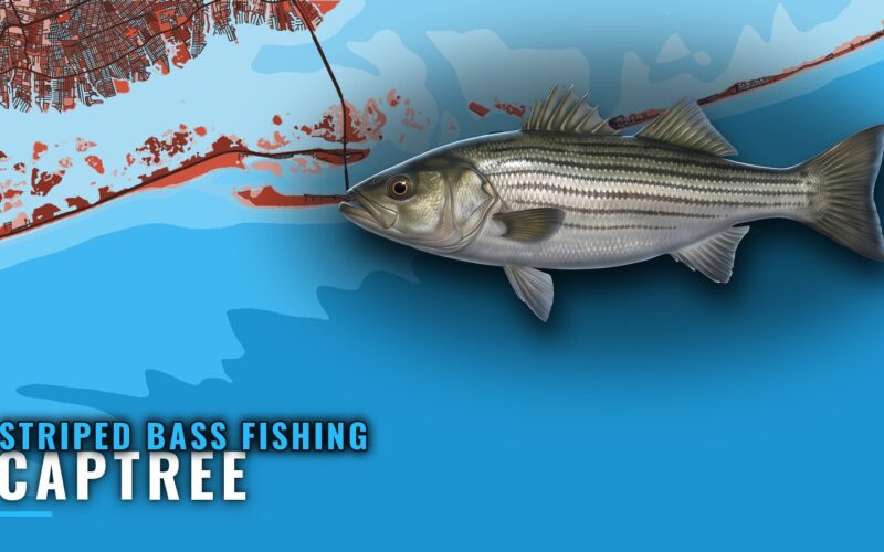 Striped bass fishing out of Captree: reefs, spots, fleets