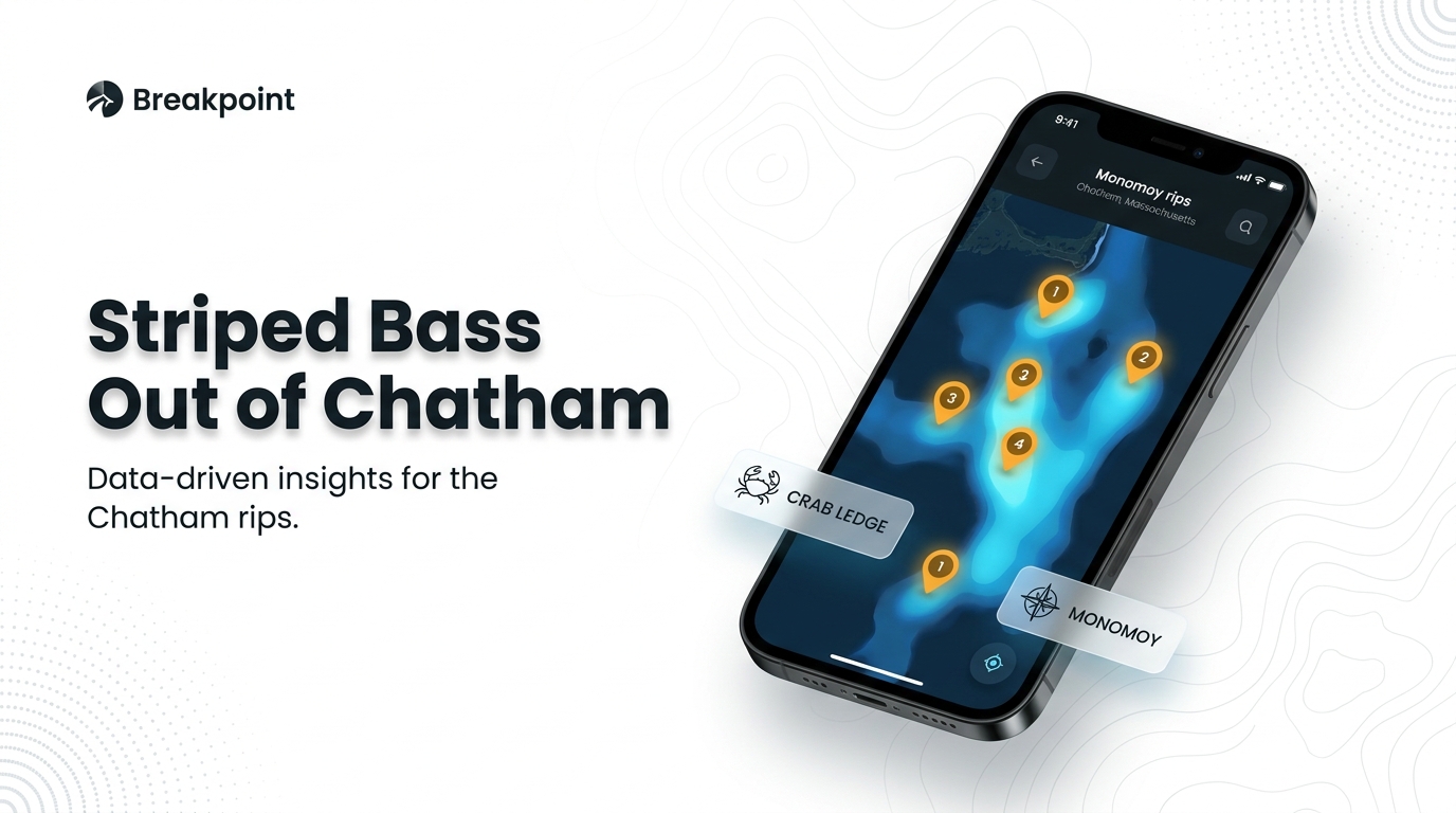 Hero (Striped bass fishing out of Chatham)