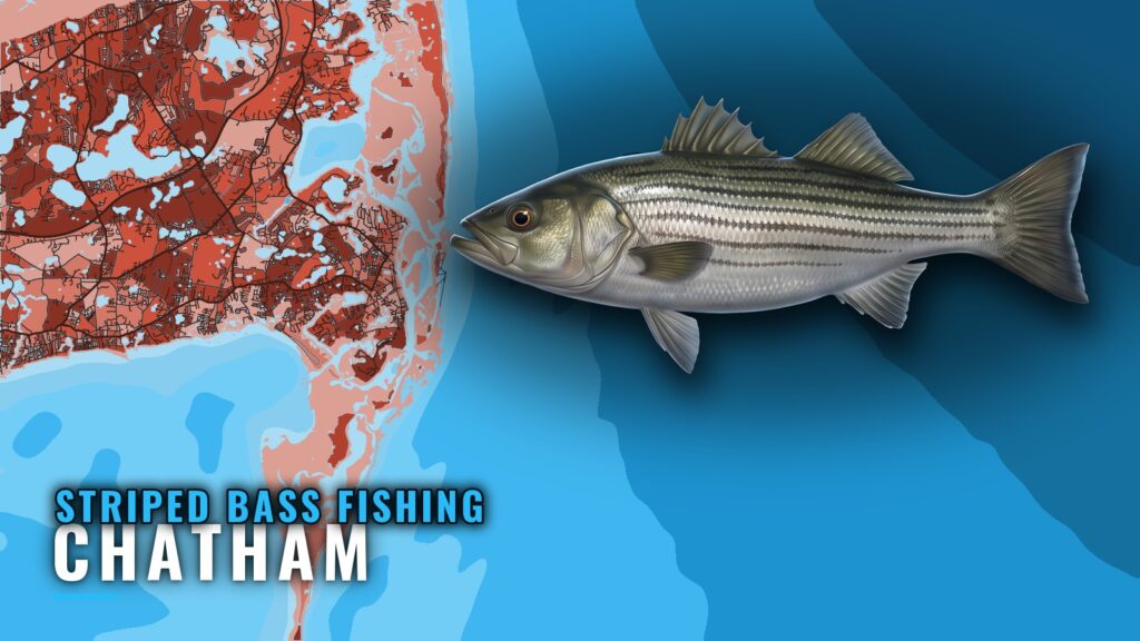 Striped Bass Fishing out of Chatham: Rips, Flats, Grounds