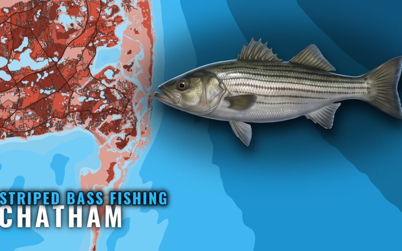 Striped Bass Fishing out of Chatham: Rips, Flats, Grounds