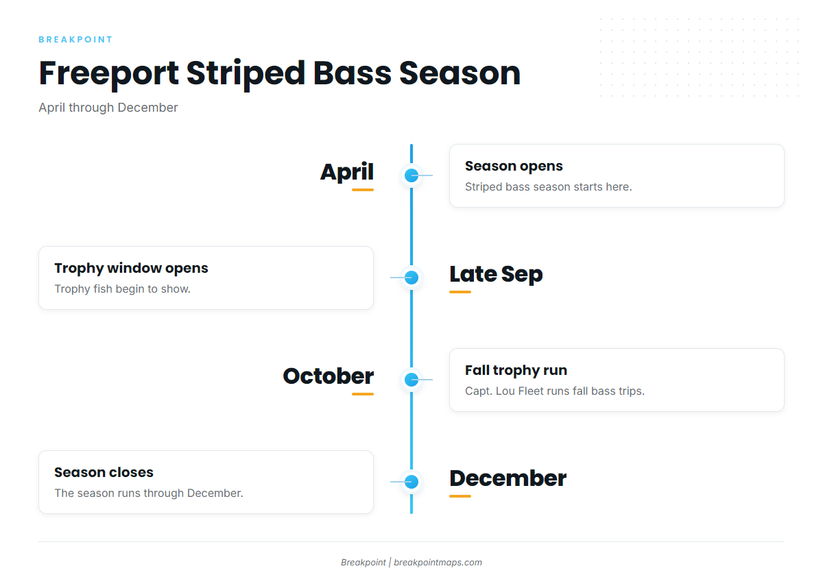 When striped bass are around Freeport