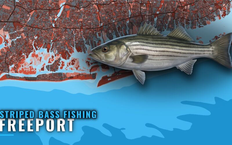Striped Bass Fishing Out of Freeport, NY: Where to Look