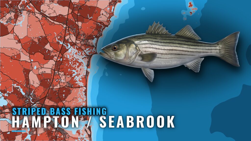 Striped Bass Fishing out of Hampton / Seabrook: Port Guide