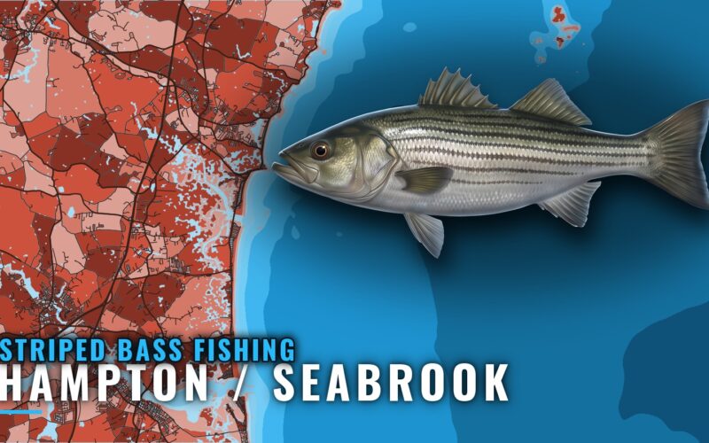 Striped Bass Fishing out of Hampton / Seabrook: Port Guide