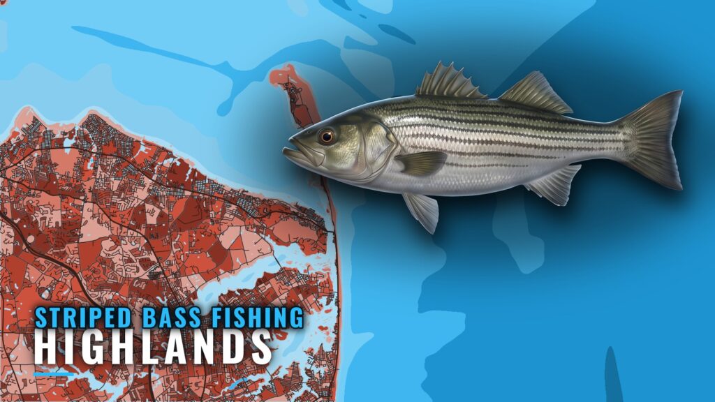 Striped Bass Fishing out of Highlands: Grounds and Season