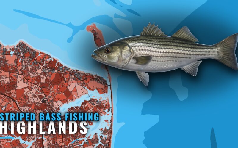 Striped Bass Fishing out of Highlands: Grounds and Season