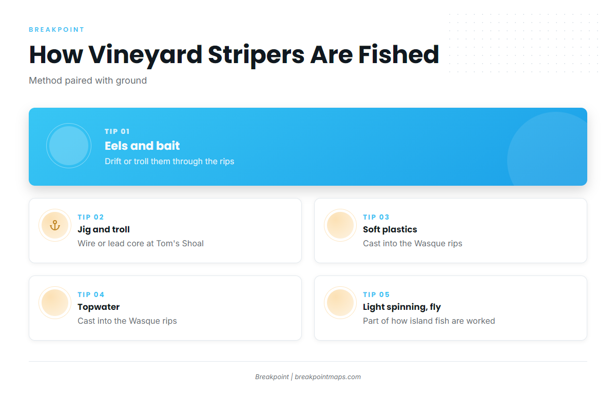 How striped bass are fished here