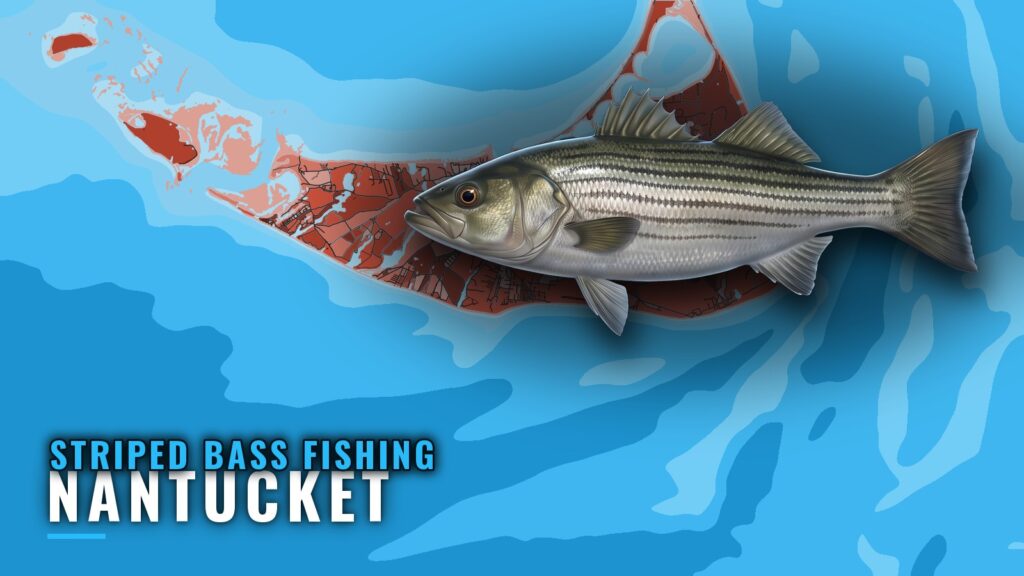 Striped Bass Fishing Out of Nantucket: Rips, Flats, Season