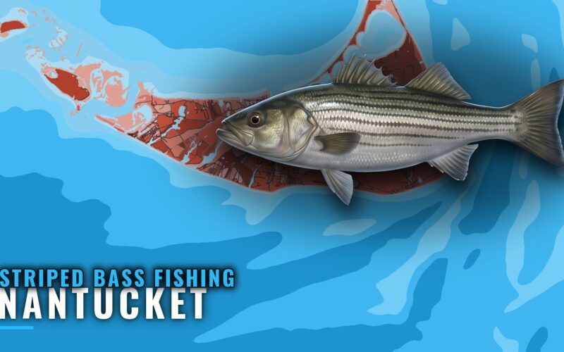 Striped Bass Fishing Out of Nantucket: Rips, Flats, Season