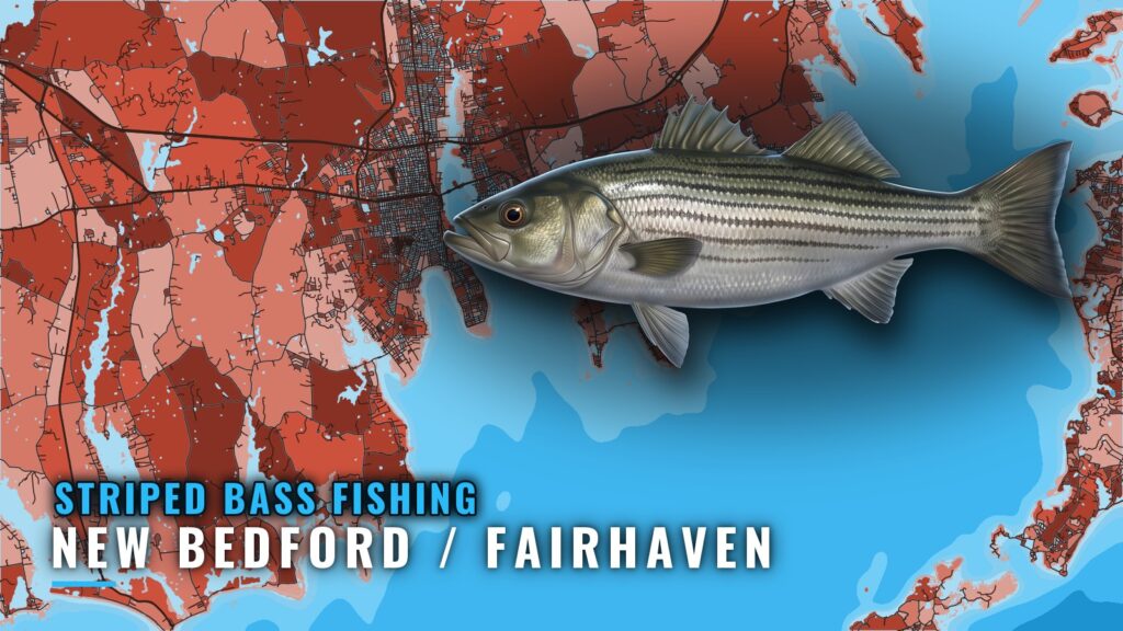 Striped Bass Fishing Out of New Bedford / Fairhaven, MA