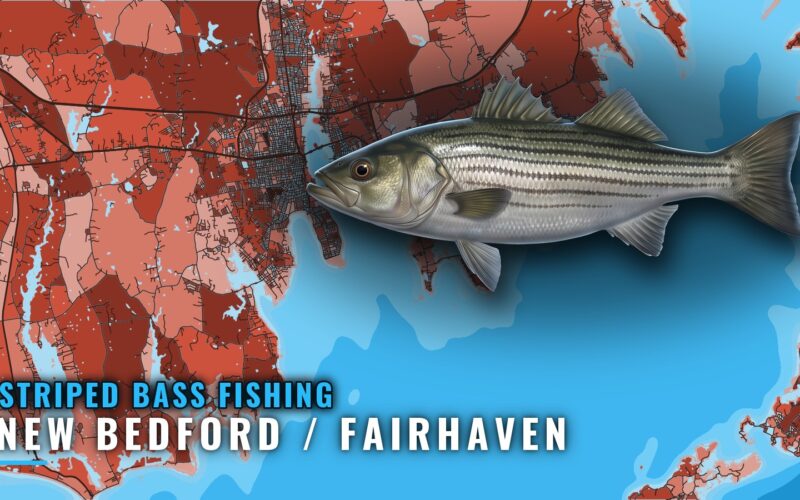 Striped Bass Fishing Out of New Bedford / Fairhaven, MA