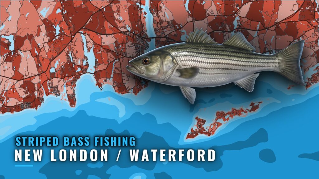Striped Bass Fishing Out of New London / Waterford, CT