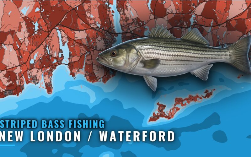 Striped Bass Fishing Out of New London / Waterford, CT