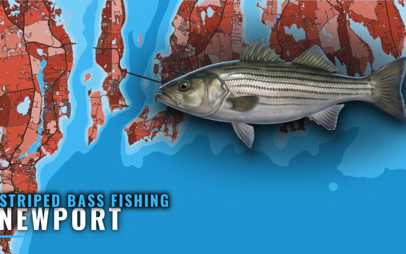 Striped Bass Fishing Out of Newport, Rhode Island