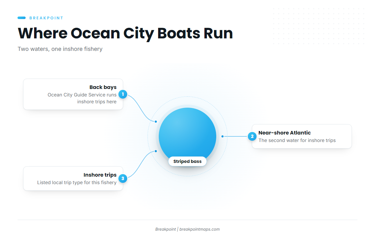 Where boats run and the water that holds them