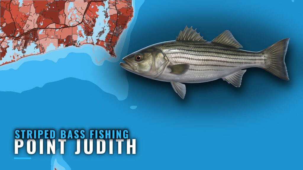 Striped Bass Fishing out of Point Judith: Ledges and Eels