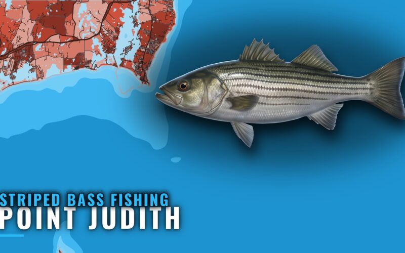 Striped Bass Fishing out of Point Judith: Ledges and Eels