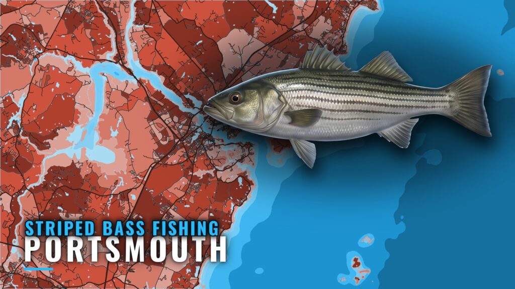 Striped Bass Fishing Out of Portsmouth: Grounds and Runs
