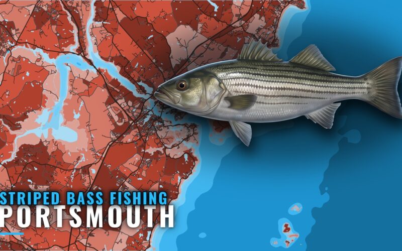 Striped Bass Fishing Out of Portsmouth: Grounds and Runs