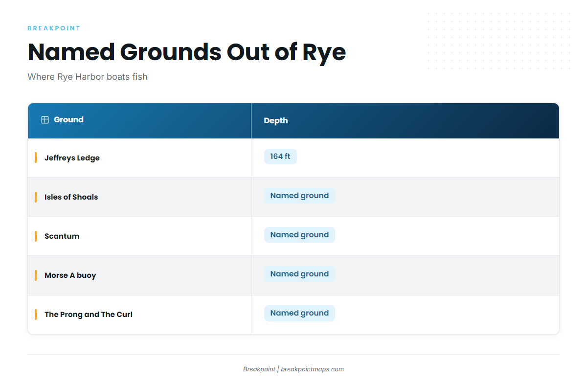 Named grounds (Striped bass fishing out of Rye Harbor)