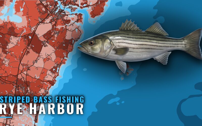 Striped Bass Fishing Out of Rye Harbor, NH: Where and How