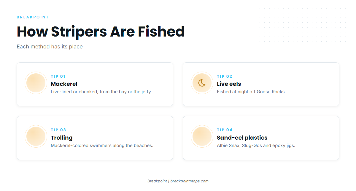 How stripers are fished here