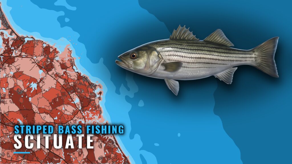 Striped Bass Fishing Out of Scituate: Grounds and Methods
