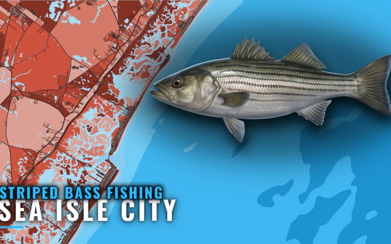 Striped Bass Fishing Out of Sea Isle City: Reefs and Runs