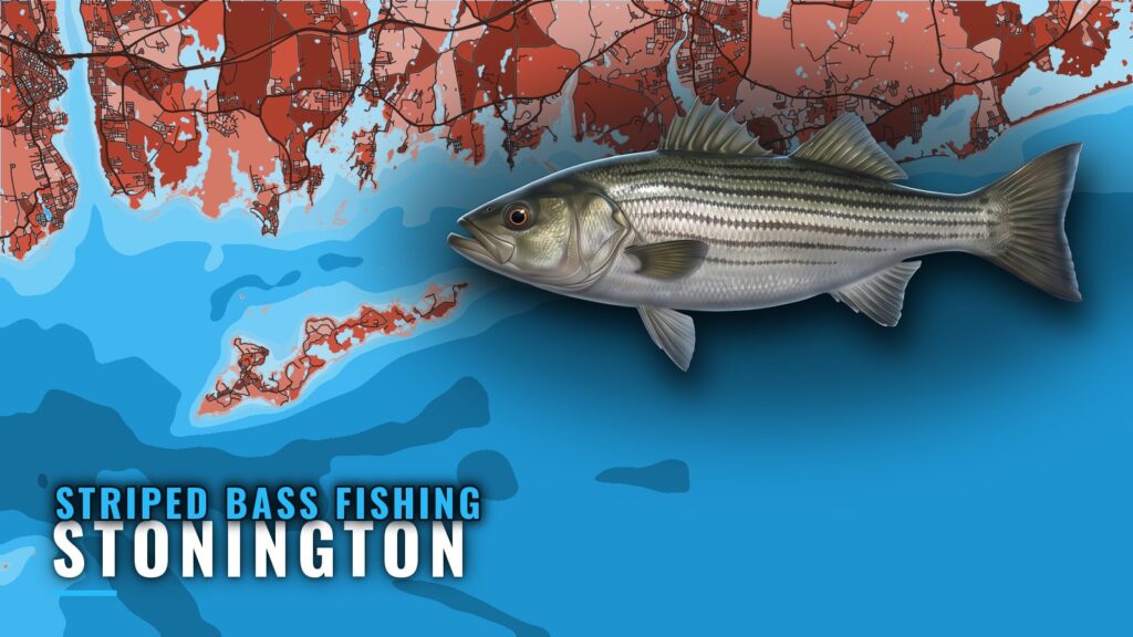 Striped Bass Fishing Out of Stonington: Reefs and Runs