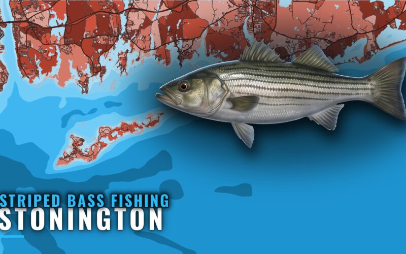 Striped Bass Fishing Out of Stonington: Reefs and Runs
