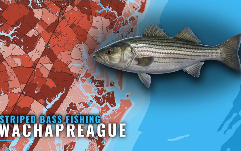 Striped Bass Fishing Out of Wachapreague: Grounds and Tides