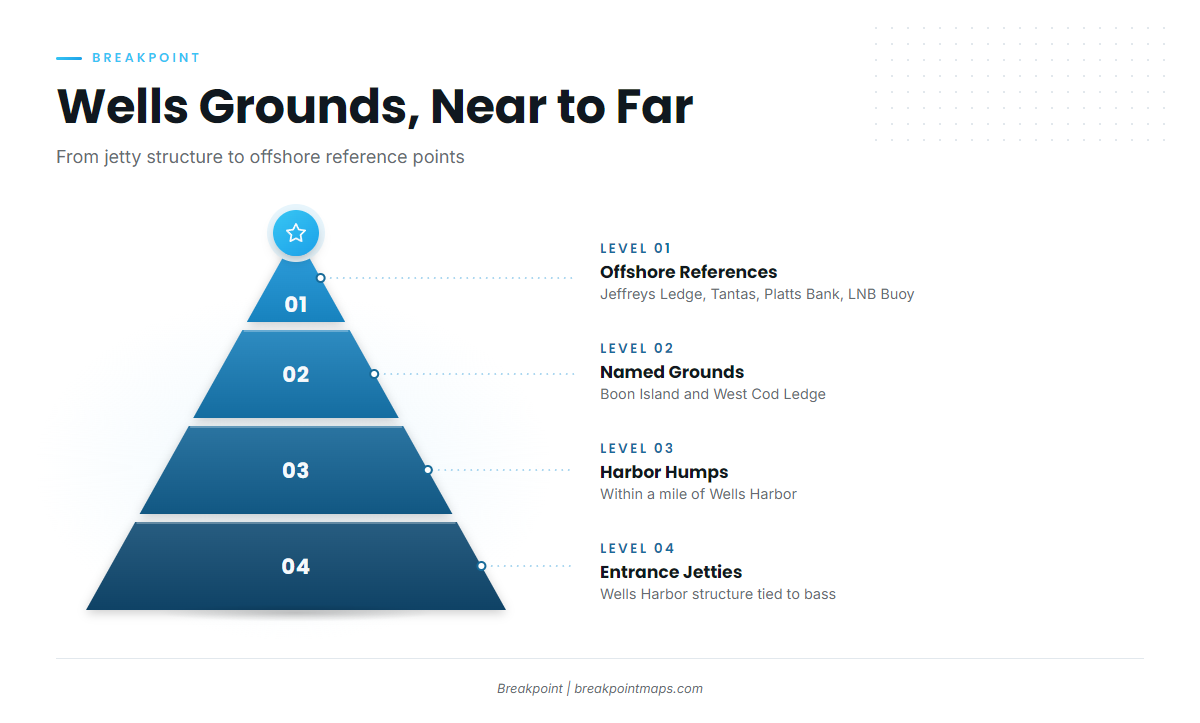 Grounds and structure that hold bass