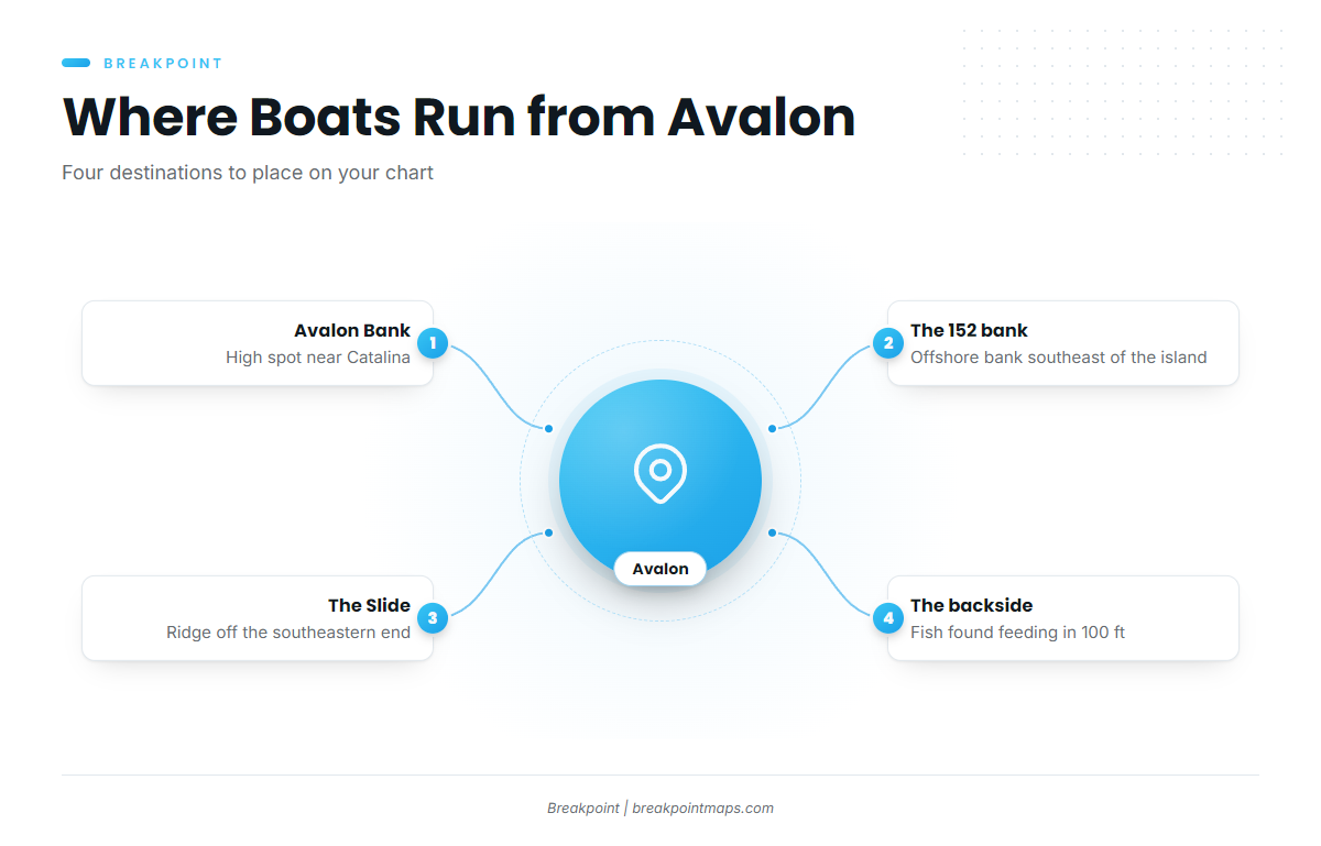 Where Boats Run for Striped Marlin Out of Avalon