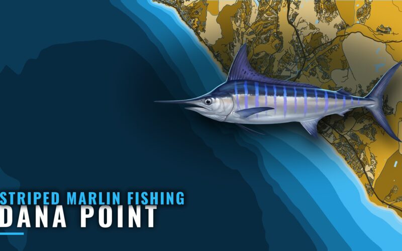 Striped Marlin Fishing Out of Dana Point: Water and Grounds