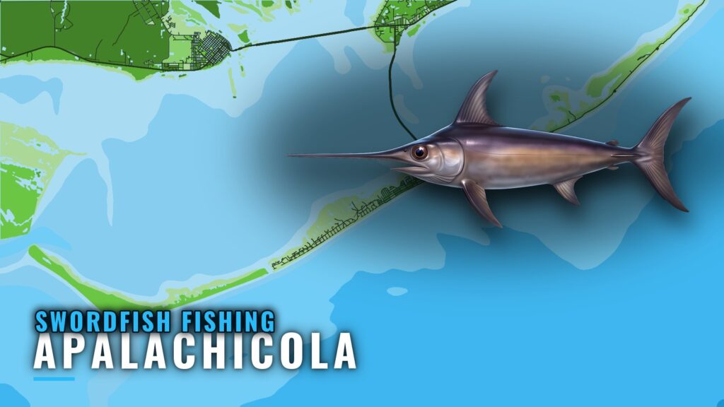 Swordfish Fishing Out of Apalachicola: Runs, Depth, Charter