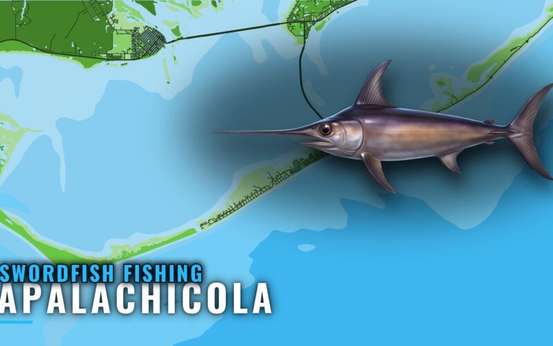 Swordfish Fishing Out of Apalachicola: Runs, Depth, Charter